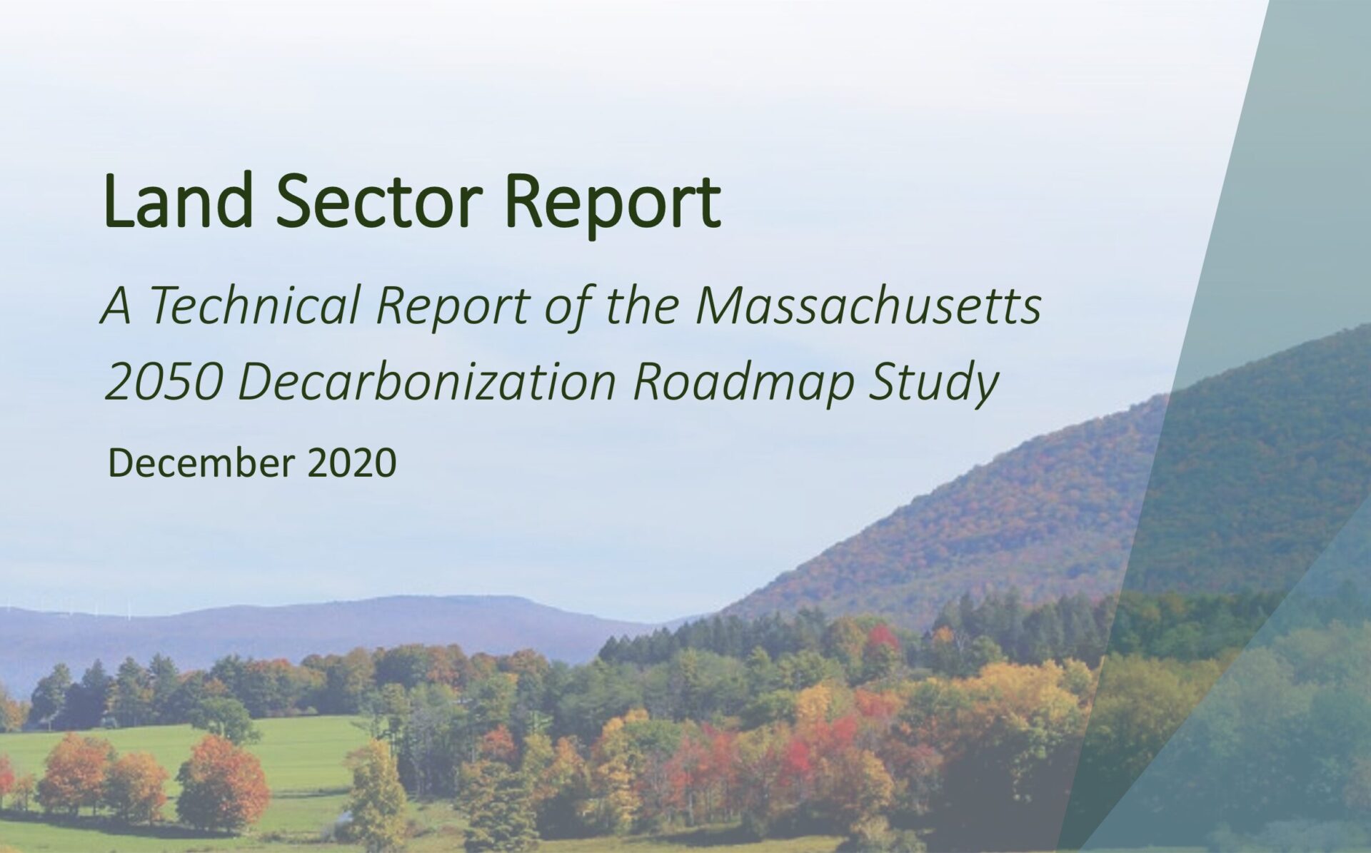 harvard forest land sector report