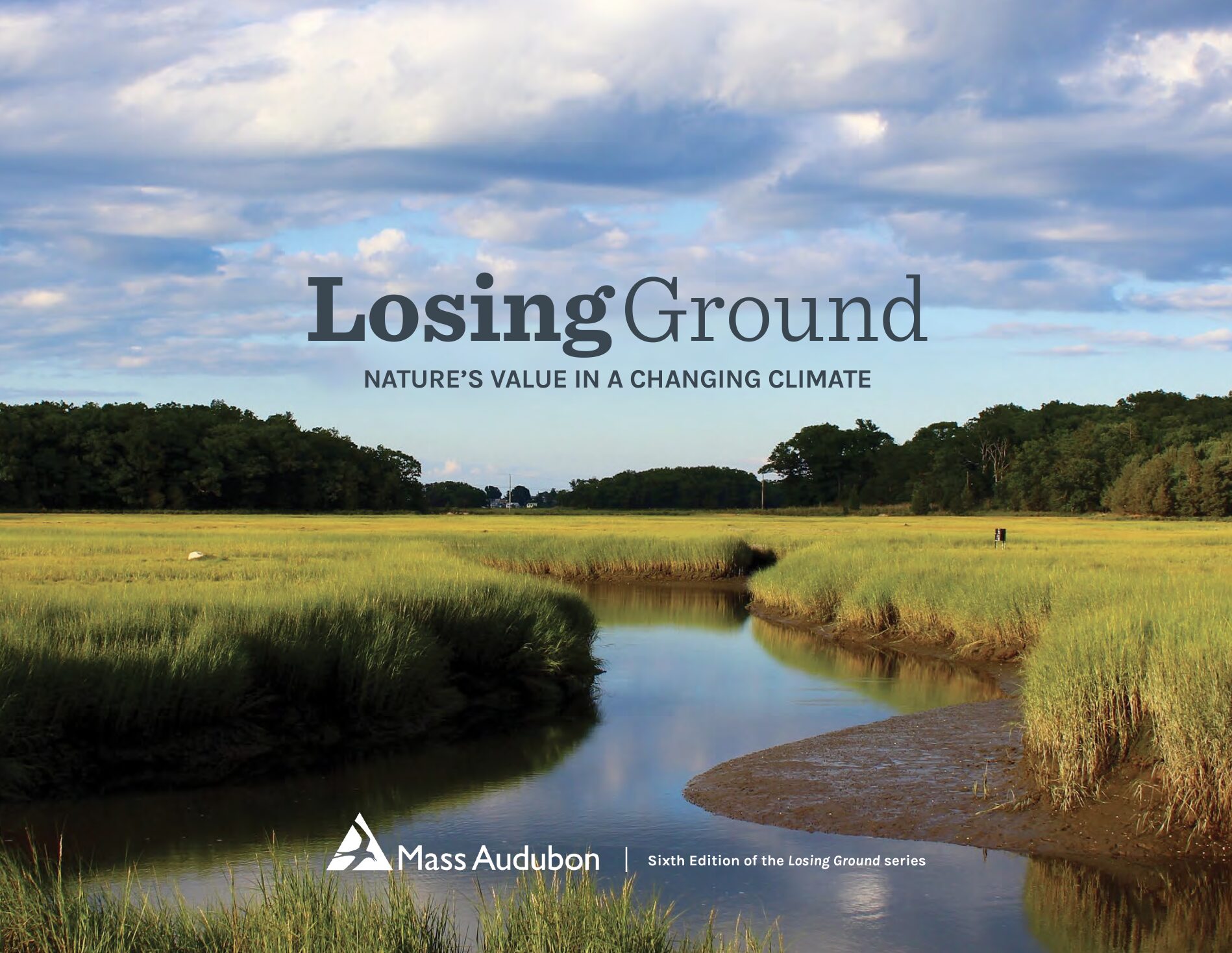 Mass Audubon Losing Ground