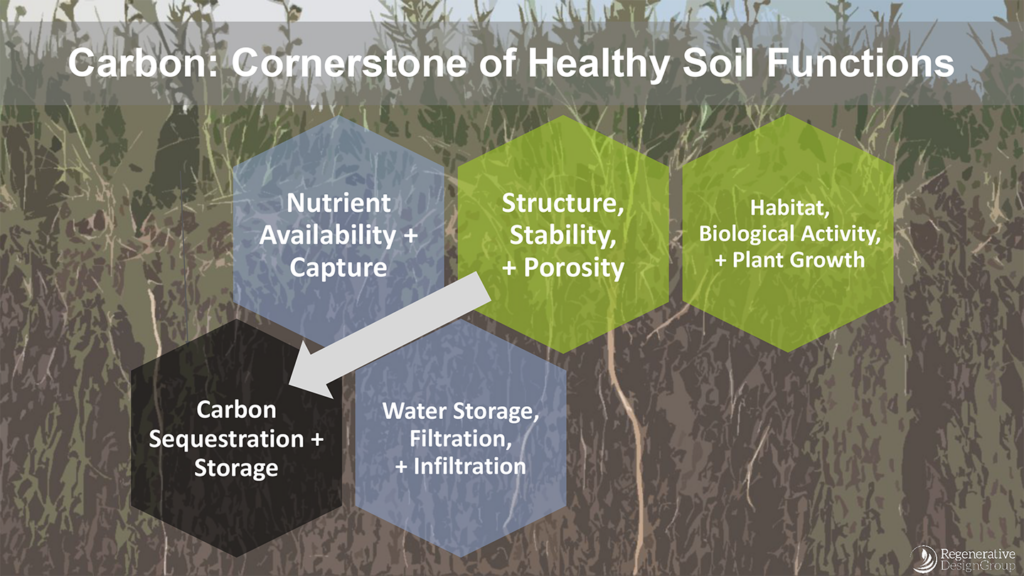 Infographic titled “Carbon: Cornerstone of Healthy Soil Functions,” showing carbon’s role in nutrient availability, structure and stability, water storage, and plant growth.
