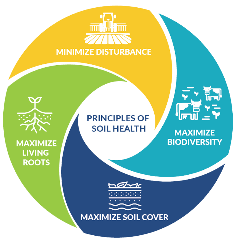 Principles of Soil Health graphic: minimize disturbance; maximize biodiversity; maximize soil cover; maximize living roots