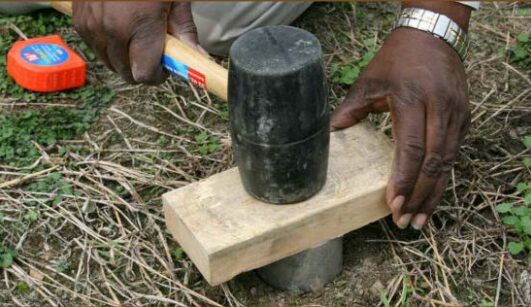 Hands drive a metal soil core into the ground with a wooden block and rubber mallet (bulk density test).