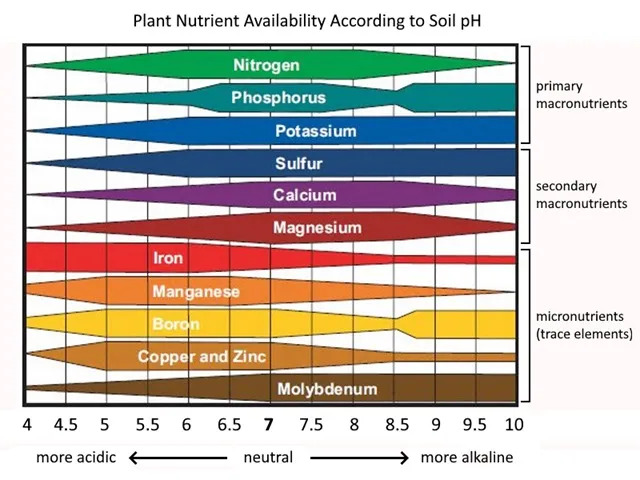 Detailed chart showing how soil pH affects nutrient availability, with bars indicating relative availability of nutrients across acidic to alkaline ranges