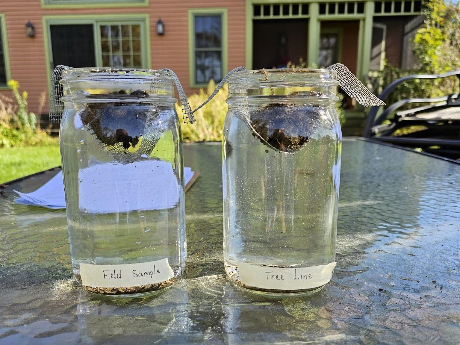 Two jars on a table labeled ‘Field Sample’ and ‘Tree Line,’ each with a soil clod on mesh in water (soil slake test).