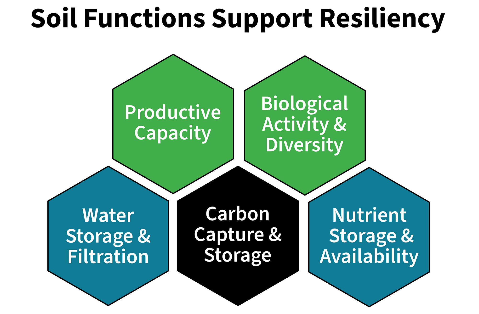 Soil functions support resiliency: productive capacity; biological activity and diversity; water storage and filtration; carbon capture and storage; nutrient storage and availability