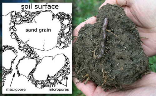 Hand holding a soil clod with roots and an earthworm, shown beside a diagram of soil structure with sand grains, macropores, and micropores.